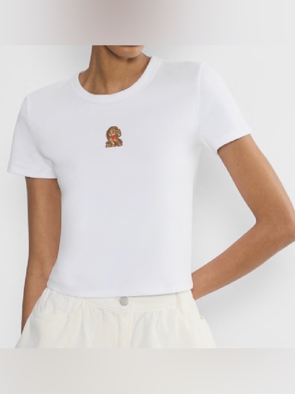 Aritzia Sunday Best BESTHUG little ribbed icon t-shirt size S Bright Wt /Puppy
